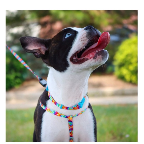 NWOT Li'I Pals Comfort Wrap Adjustable Dog or Small Pet Harness, Flames - Picture 7 of 10